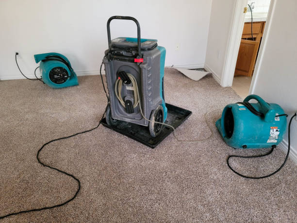 Best Ceiling water damage repair  in Scenic Oaks, TX