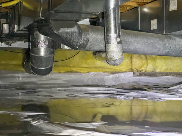 Best Water damage cleanup near me  in Scenic Oaks, TX