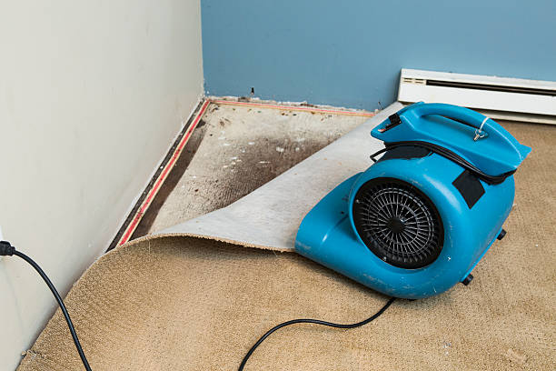 Best Flood restoration services  in Scenic Oaks, TX